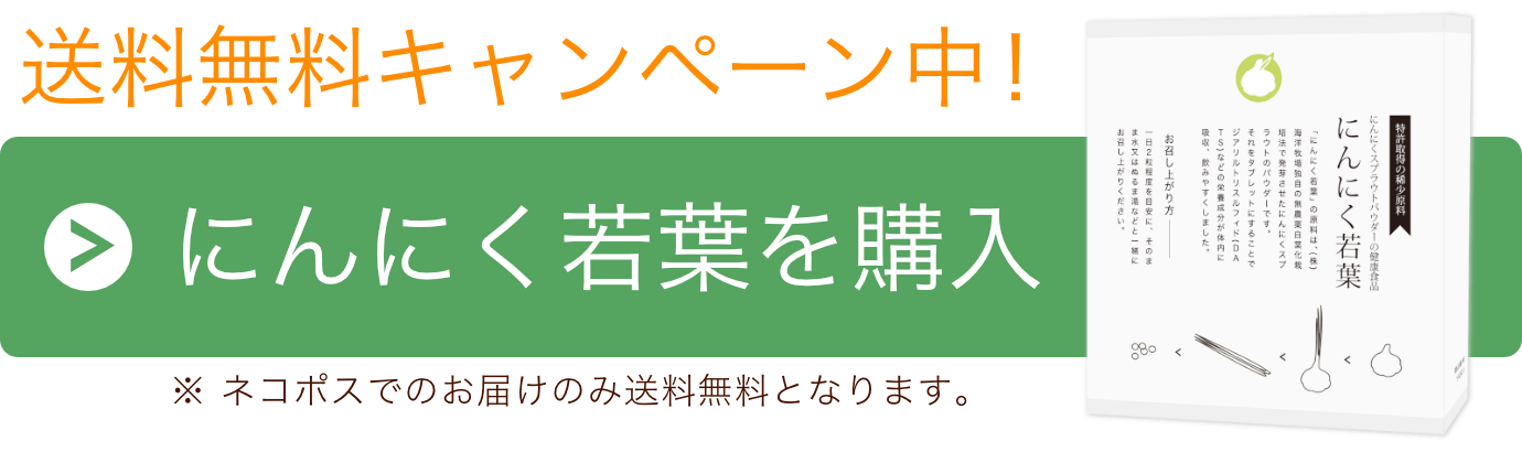 にんにく若葉を購入