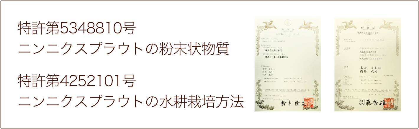 特許「ニンニクスプラウトの粉末状物質」「ニンニクスプラウトの水耕栽培方法」
