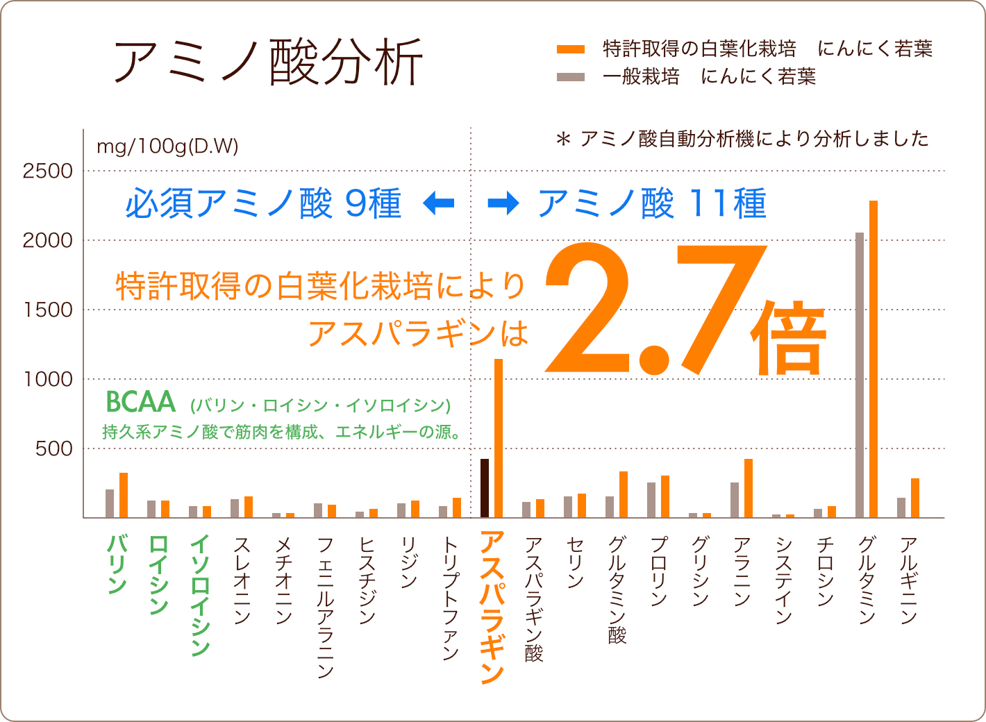 特許取得の白葉化栽培によりアスパラギンは2.7倍！
