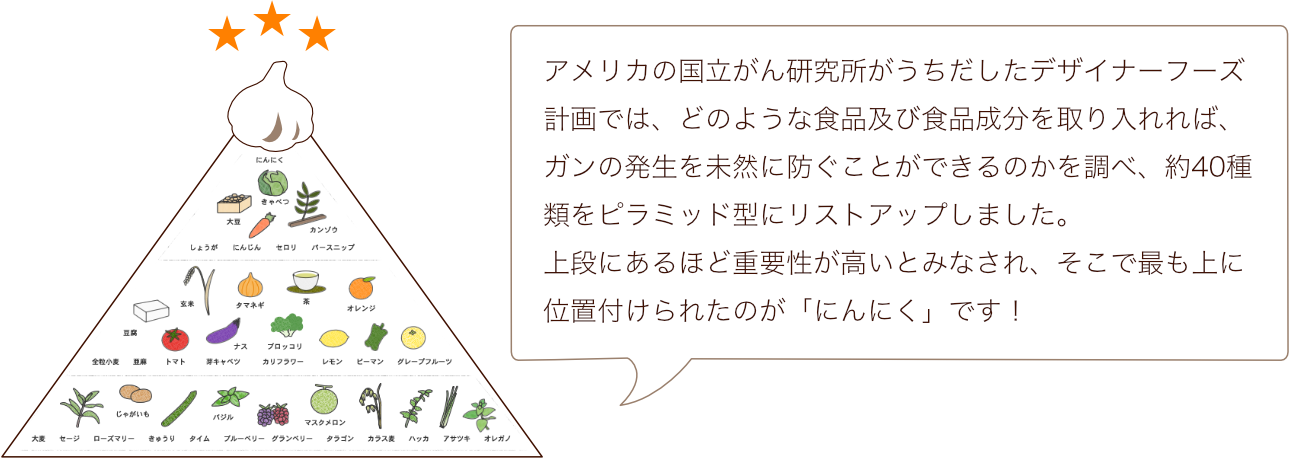 デザイナーフーズ計画