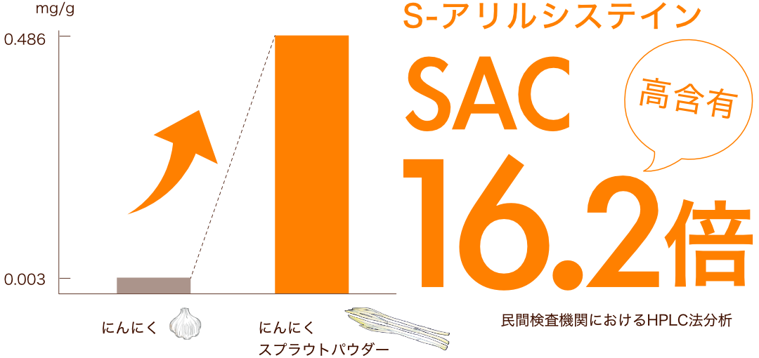 S-アリルシステイン(SAC)高含有