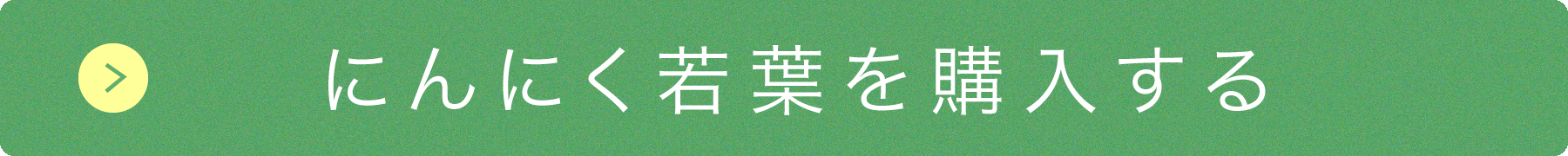 にんにく若葉を購入する